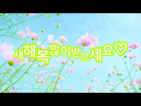 새해복많이많이받으세요♡ happy new year