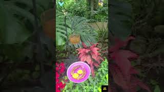 OMG Butterflies everywhere!! 😍😍😍