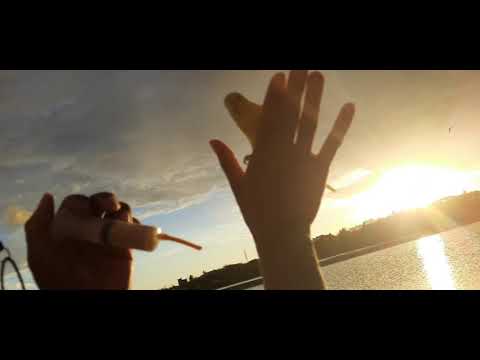 WOW SO BEAUTIFUL... LOVEBIRD AND BUDGIE IN ONE CAGE