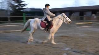 CSO (interne) du 20/12/15 sur Maya !