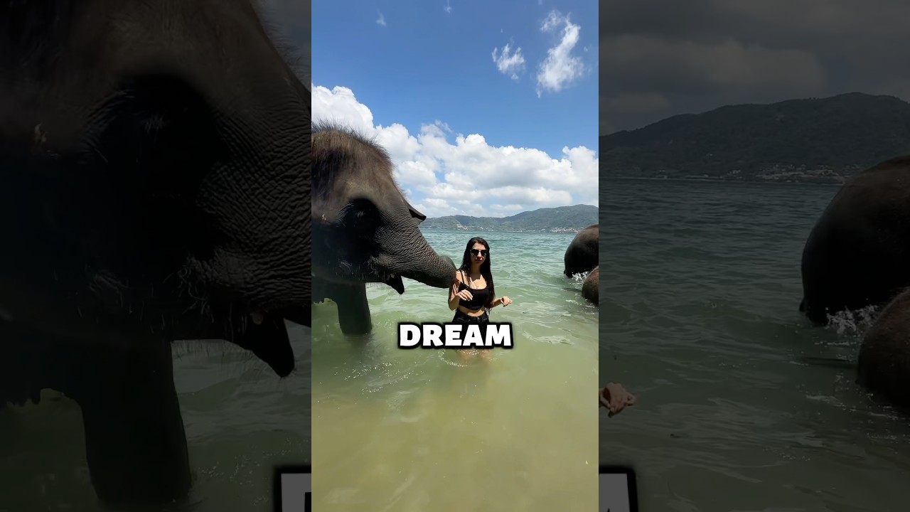 This Elephant’s Surprise Left Her Speechless😳 