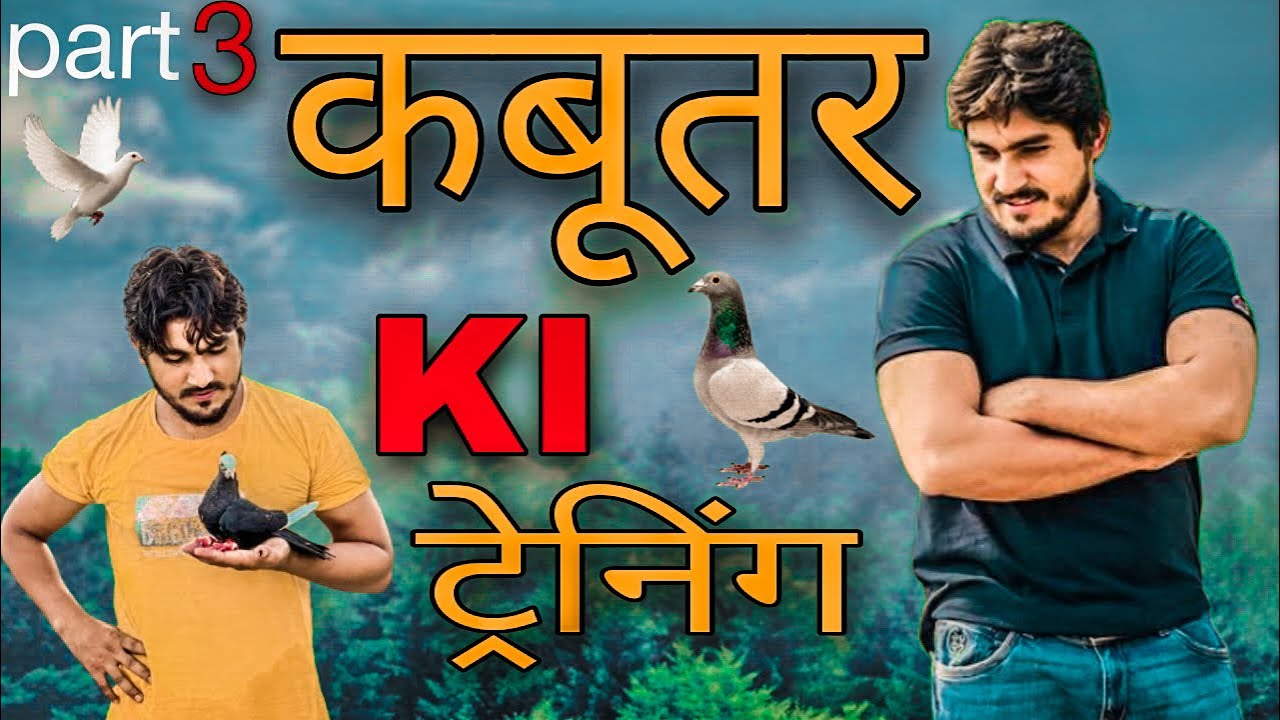 🤗🕊️ kabutar ko bike ke sath kaise udaye ??😇🥰 Bhura and Raja pigeon Builder 2222 part 3