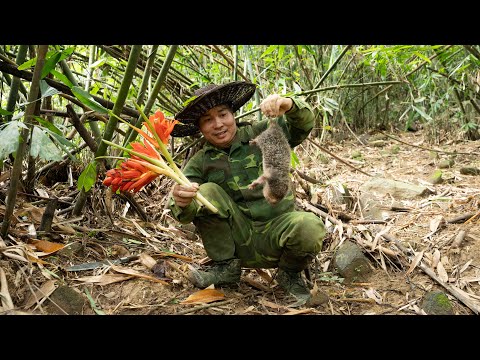 Jungle Survival Food: Bamboo Rat, Honey & Forest Cooking | EP.518
