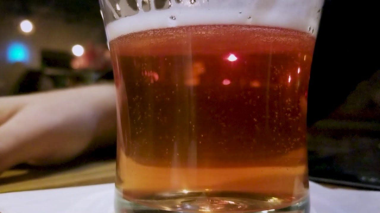 Bosque Brewing Company (Documentary Short)