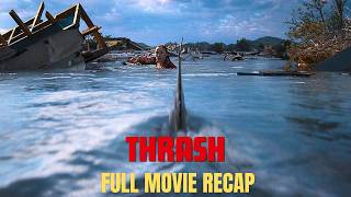 Sharks Invade A Flooded City During A Hurricane Thrash 2026 Explained