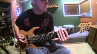 Lifeforms - Reflections II (Guitar Cover)
