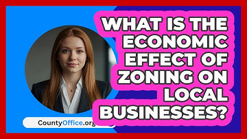 What Is The Economic Effect Of Zoning On Local Businesses? - CountyOffice.org