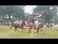 Pony club championships 2021 mounted games vlog