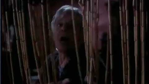 Crime and Punishment (3)