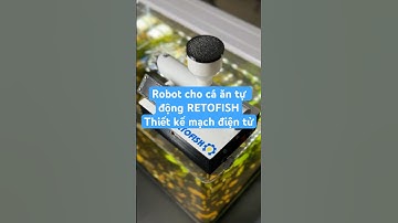 Hành trình làm ra mạch điện tử cho bộ kit DIY Robot cho cá ăn tự động #retobots #stem #robot #diy