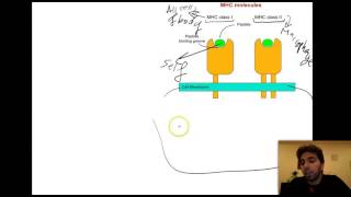 20 - Chapter 6 Doc 1&3 - Lebanese Bac - L.S.