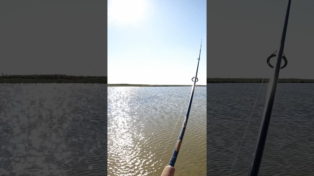 Who els hates hardheads just as much as I do🤬