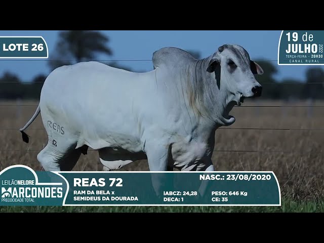 LOTE 26   REAS 72