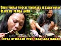 NGINAP DI HUTAN BELANTARA BANYAK SUARA SUARA ANEH