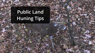 Public Land Hunting Tips