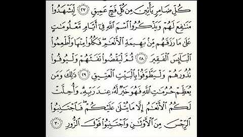 تلاوات مختارة سورة الحج كاملة القارئ عامر المهلهل