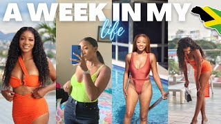 LIFE AS A YOUTUBER IN JAMAICA! vlog (Meetings, Sponsorship Tips, Photoshoots + more) | Annesha Adams