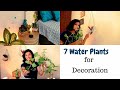 7 Beautiful Water Plants for Home Decor || अब फ्री में बढ़ाए घर की खूबसूरती   || G row water plants