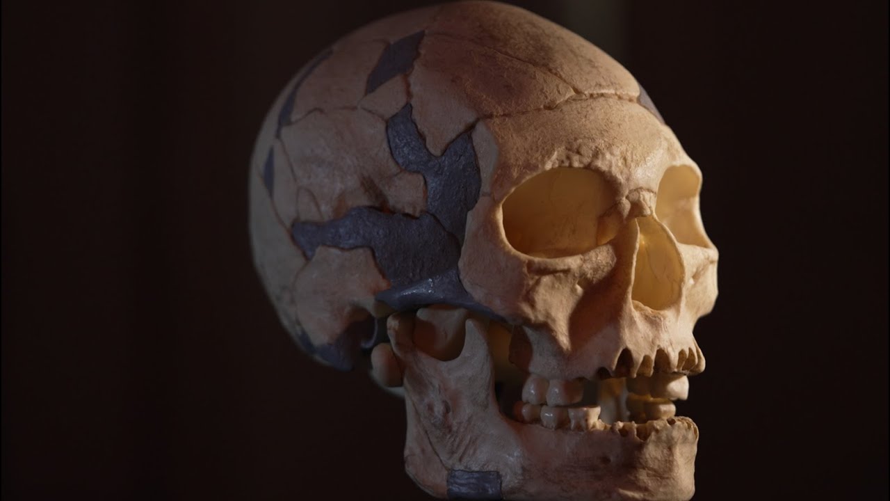 Istorii ascunse: România - leagănul primilor europeni | a treia parte (@TVR1)