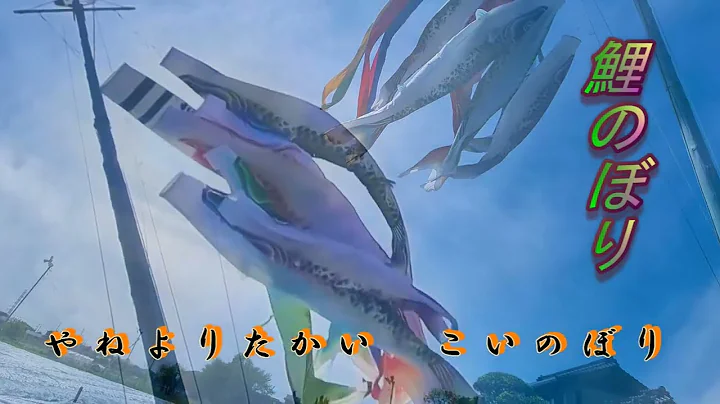 日本什麼時候掛鯉魚旗？意思是什麼？日本童謡『鯉魚旗』是日本端午節的飾品！為什麼？來自中國的「鯉魚跳龍門」日本的男孩節！ - 天天要聞
