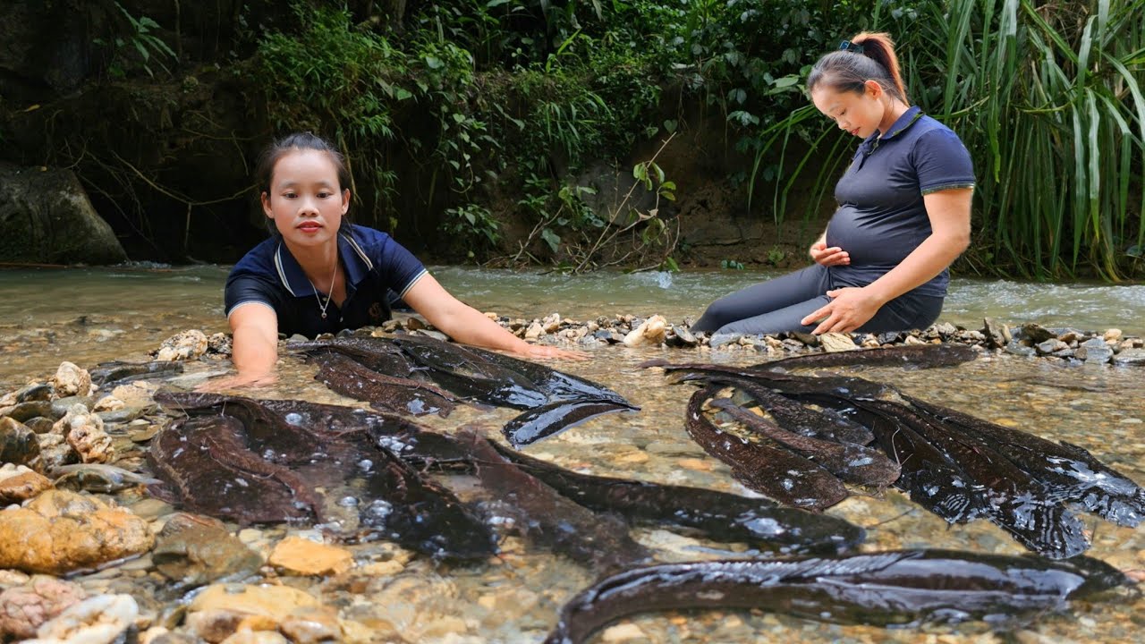 The girl caught stream fish with her bare hands and brought them to the ...