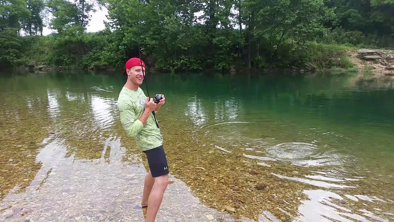 Carp fight 