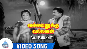 Vallavanukku Vallavan Movie Songs | Paal Manakuthu Poo Video Song | Manohar | Manimala