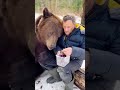 A wonderful friendship #foryou #tiktok #animal #Love #bear #Shorts #osmundo0716