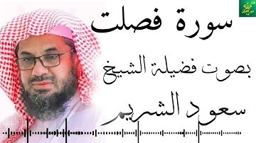 سورة فصلت - بصوت فضيلة الشيخ  سعود الشريم - جودة عالية 4K  Surah Fussilat