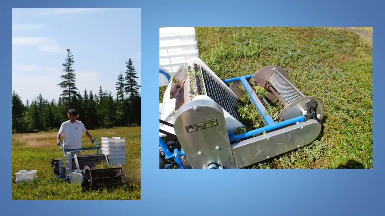 Building Tomorrow Fund Overview