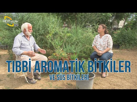 Video: Bryony Süs Ve Tıbbi Bir Bitkidir