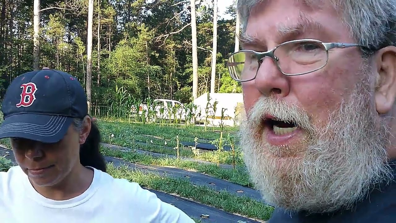 HOW MANY TOMATOES IS ENOUGH GARDEN TOUR Our New Life Homesteading HOW MANY TOMATOES IS ENOUGH GARDEN TOUR Our New Life Homesteading