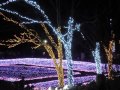 大阪府立花の文化園① の動画、YouTube動画。