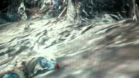 Dolphin Dive Out Of The Map On Array