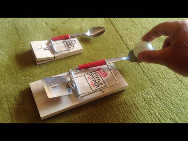 The AwkEng Builds a Better Mouse Trap Catapult – Awkward Engineer