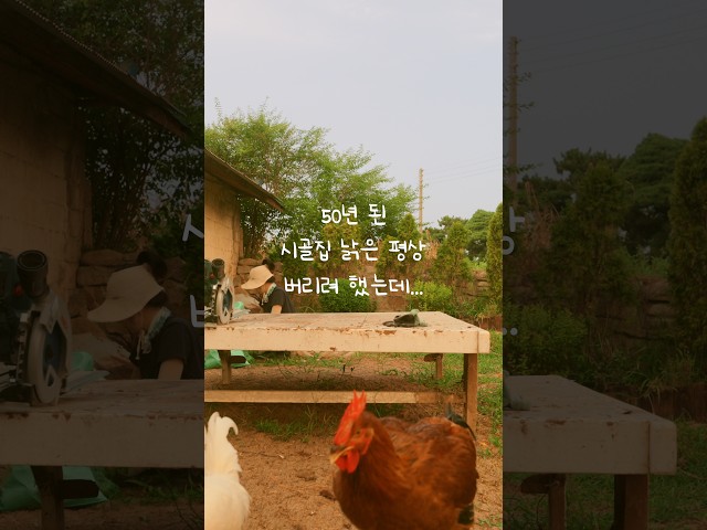 50년 된 시골집 낡은 평상 버리려 했는데...#diy #시골집고치기 #shorts