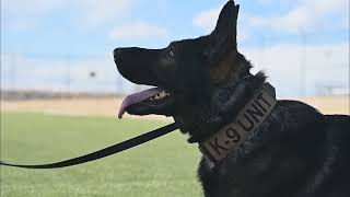 Meet Space Force K-9's - Jack, Mixi, Sego, Pedro and Mattie