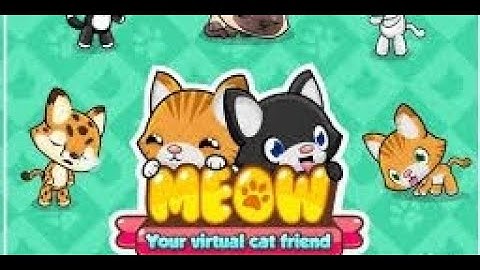 Meow Playground club! - Picky Panda