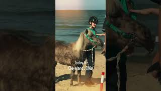 Horse Riding At Edgewater Beach In Cleveland, Ohio