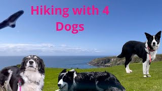 On vacation with 4 Dogs, new tattoos and hiking in Scotland