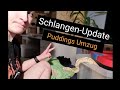 Schlangen-Update 1.0 || Puddings Umzug