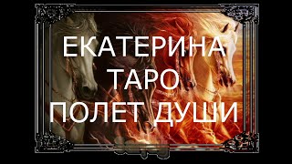 видео: ГАДАНИЯ ОНЛАЙН. КАКОЕ ВАШЕ ЖЕЛАНИЕ СКОРО ИСПОЛНИТСЯ? картинка: ГАДАНИЯ ОНЛАЙН. КАКОЕ ВАШЕ ЖЕЛАНИЕ СКОРО ИСПОЛНИТСЯ?