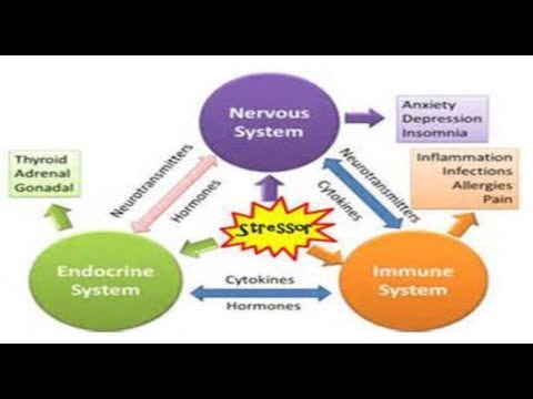 Video: Psychoneuroimmunologie: Definitie, Onderzoek En Voorbeelden