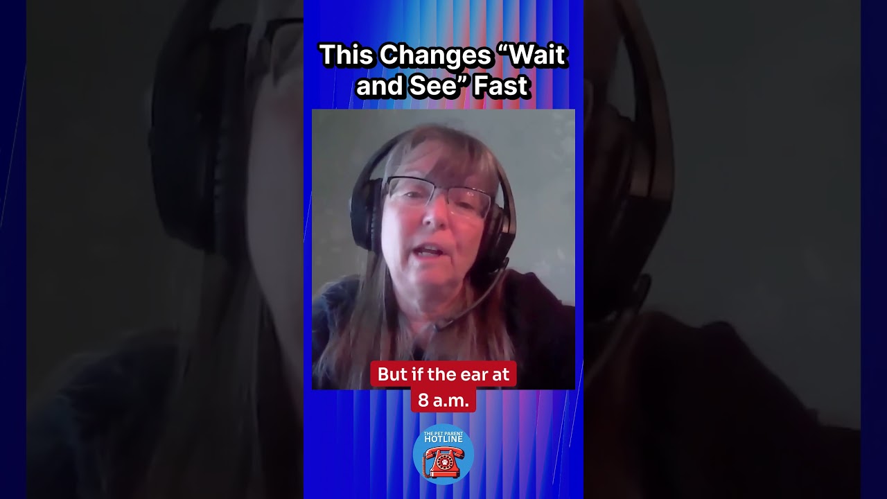 When Pet Symptoms Get Worse Fast When Pet Symptoms Get Worse Fast
