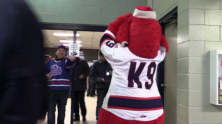 Bourassa relishing years as K-9