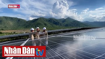 Vai trò của năng lượng tái tạo với mục tiêu Net Zero