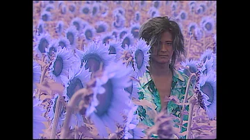 UP-BEAT「Weeds & Flowers ～最後の国境～」Music Video