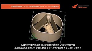 医療画像評価用CTおよび核医学画像対応ハイブリッド型心臓模型（診療放射線学科 菊池明泰 准教授）