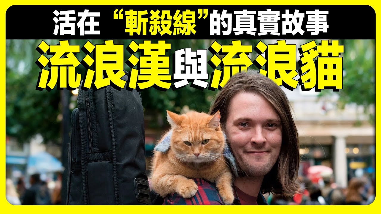 James因一隻流浪貓而走紅，一度成為百萬富翁，暴富 13 年後又重回流浪生活，斬殺線的真實故事   流浪貓｜ 鮑勃｜Bob｜流浪漢｜斬殺線｜命運｜奇跡