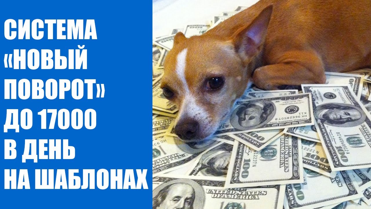 Варианты подработки с ежедневной оплатой - YouTube